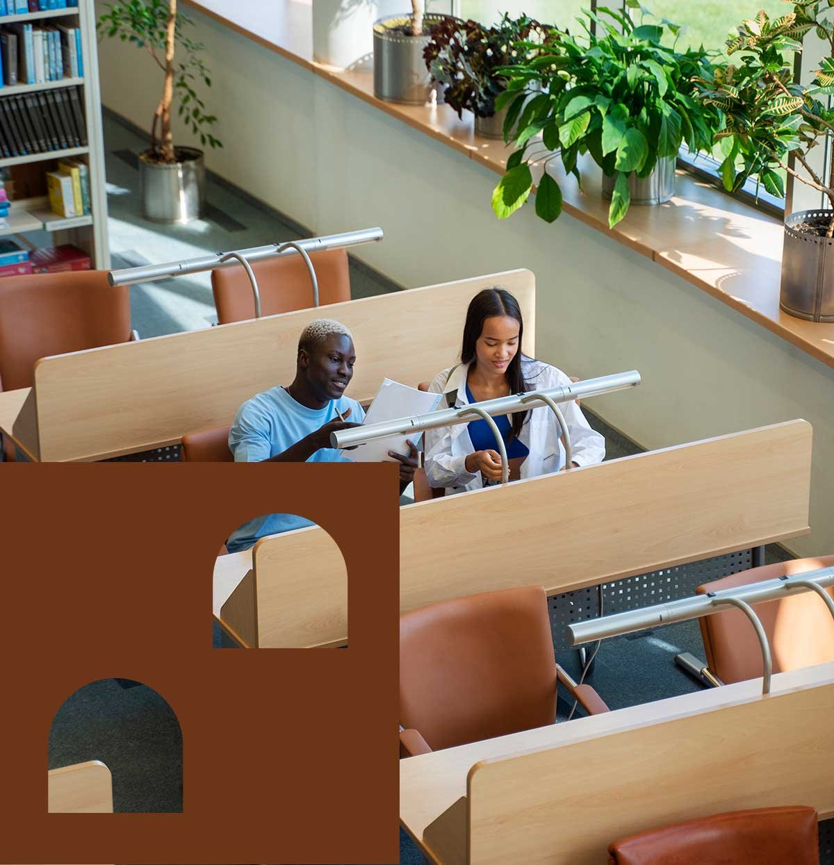 Students working together in a library